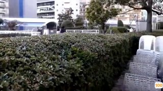 微博超女神大尺度性爱私拍交替完美露脸